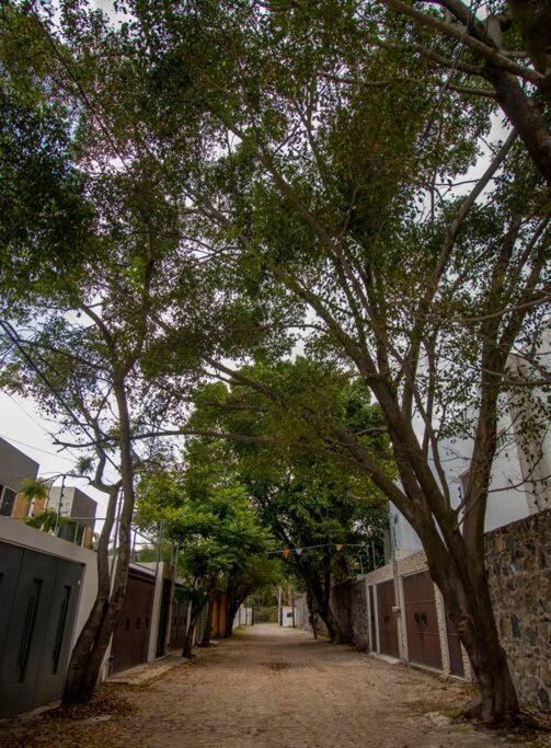 ¡Nueva! Bamboo La Guayaba Villa Jiutepec Kültér fotó